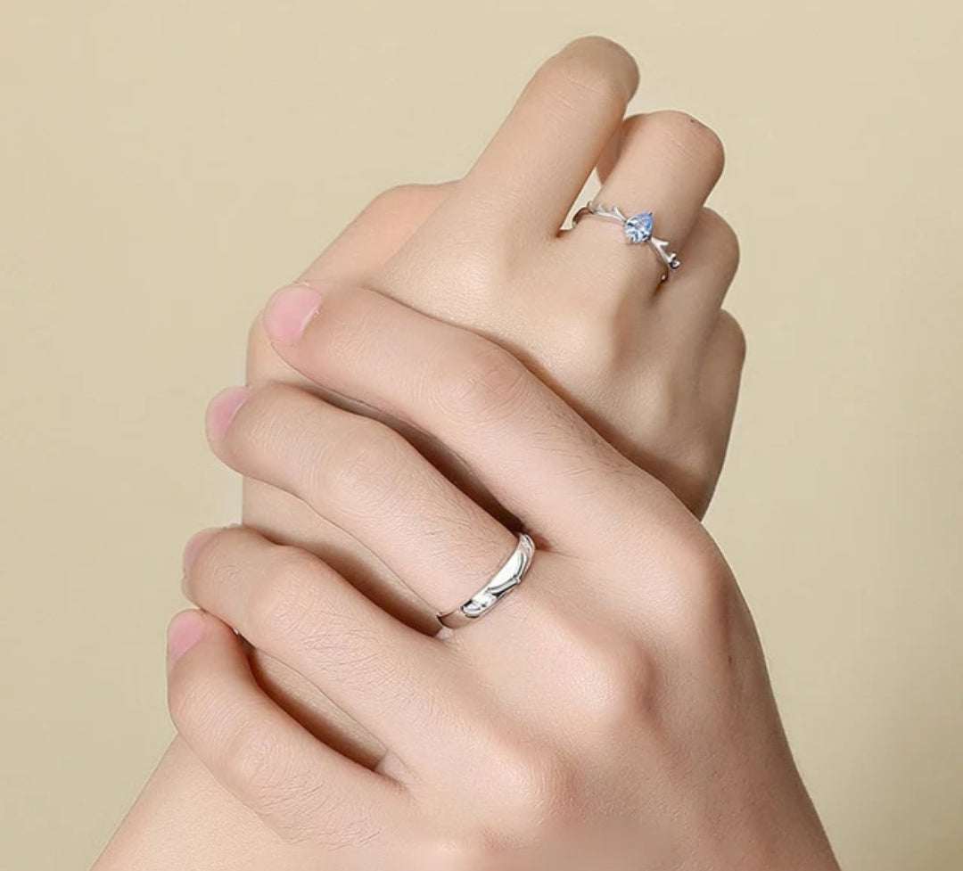CZ Stones Studded Stainless Steel Adjustable Size Couple Ring Set