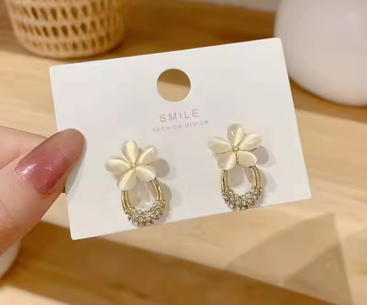 Stones Studded Resin Style Korean Push Plugs Stud Earrings